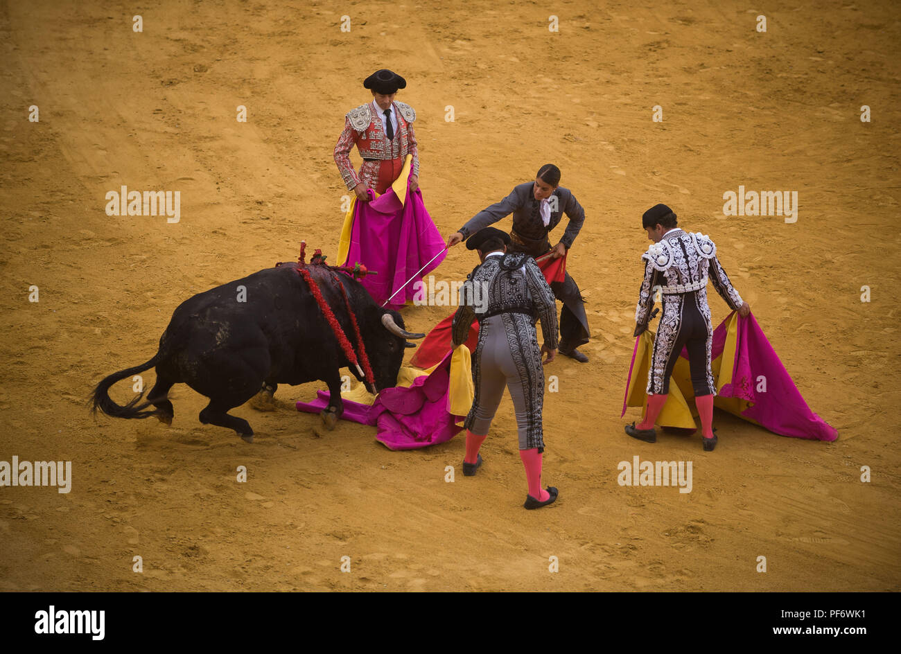 The bull and last hi-res stock photography and images - Page 3 - Alamy