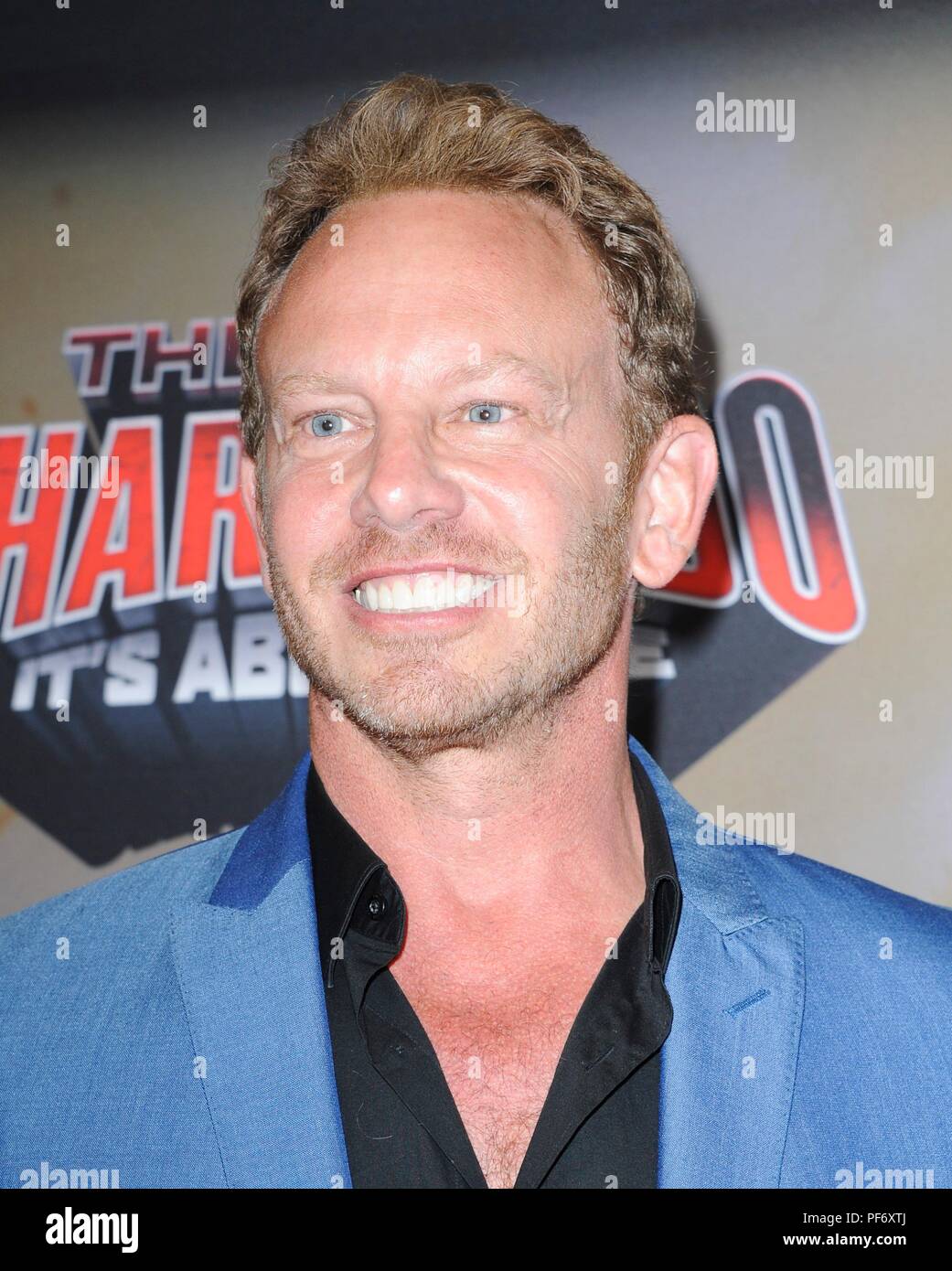 Los Angeles Ca Usa 19th Aug 2018 Ian Ziering At Arrivals For