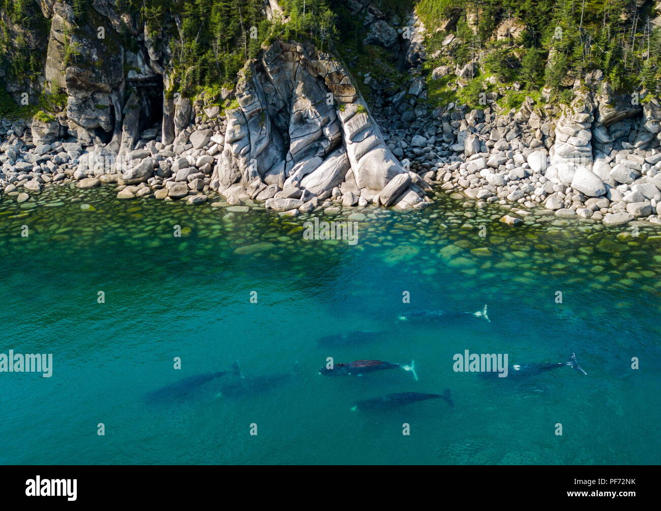 Shantar Islands Shantar Islands