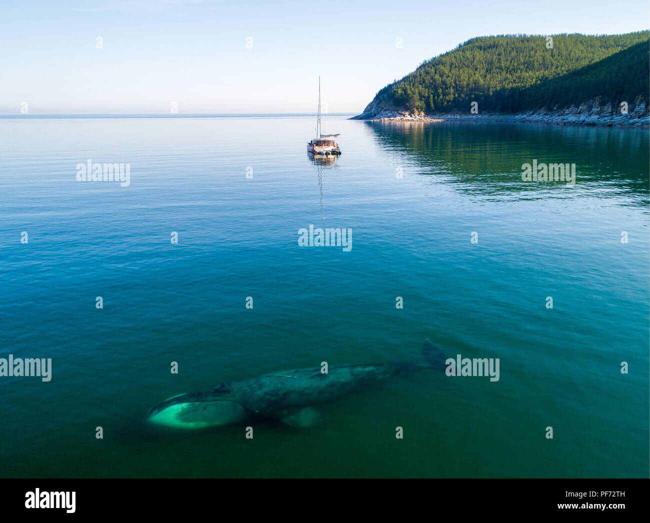 Shantar Islands Shantar Islands