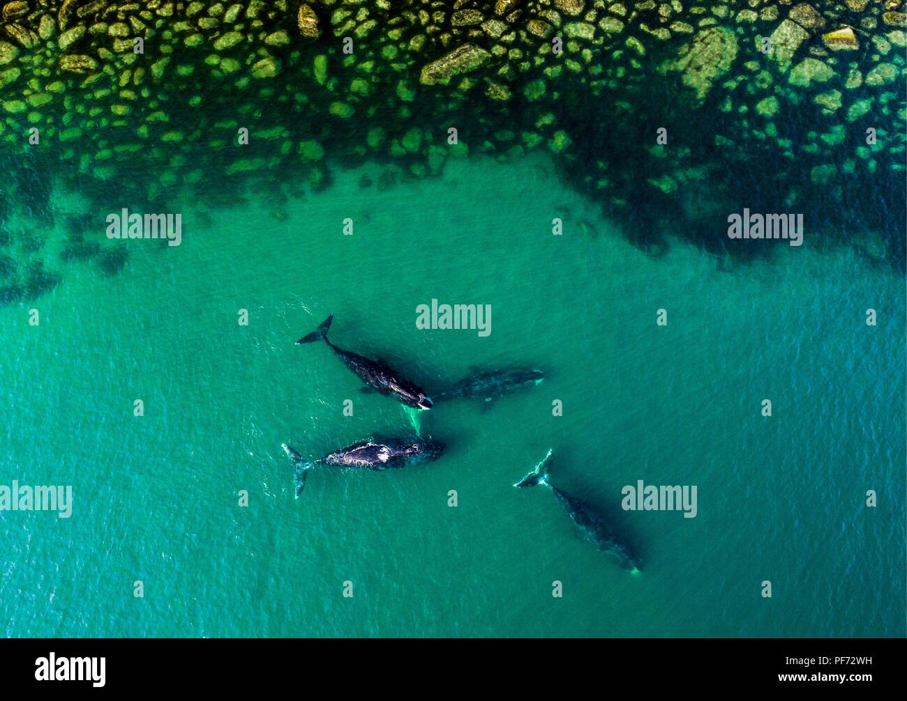 Shantar Islands Shantar Islands