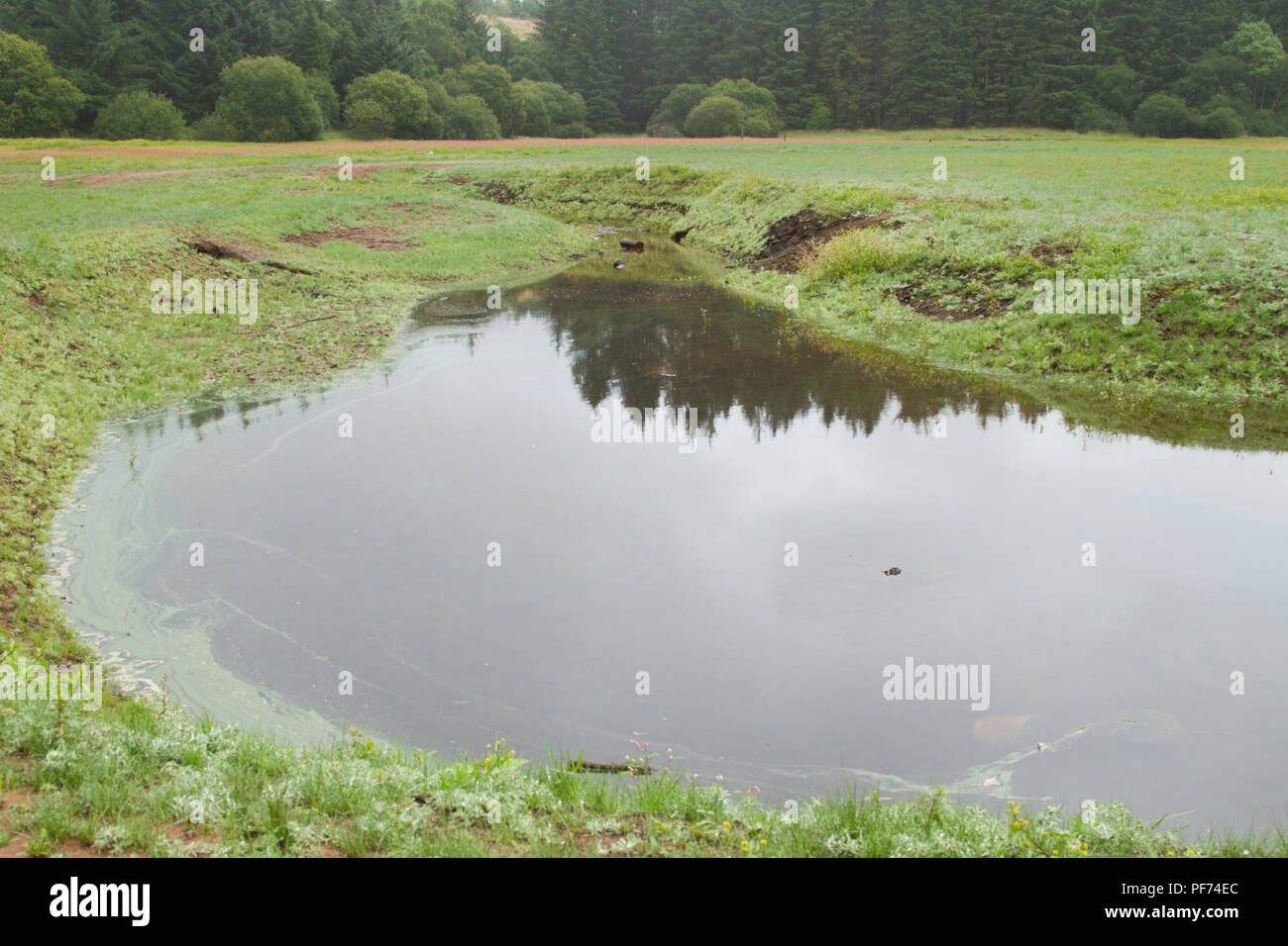 Llwyn Onn Reservoir, Merthyr Tydfil, South Wales, UK. 20 August 2018