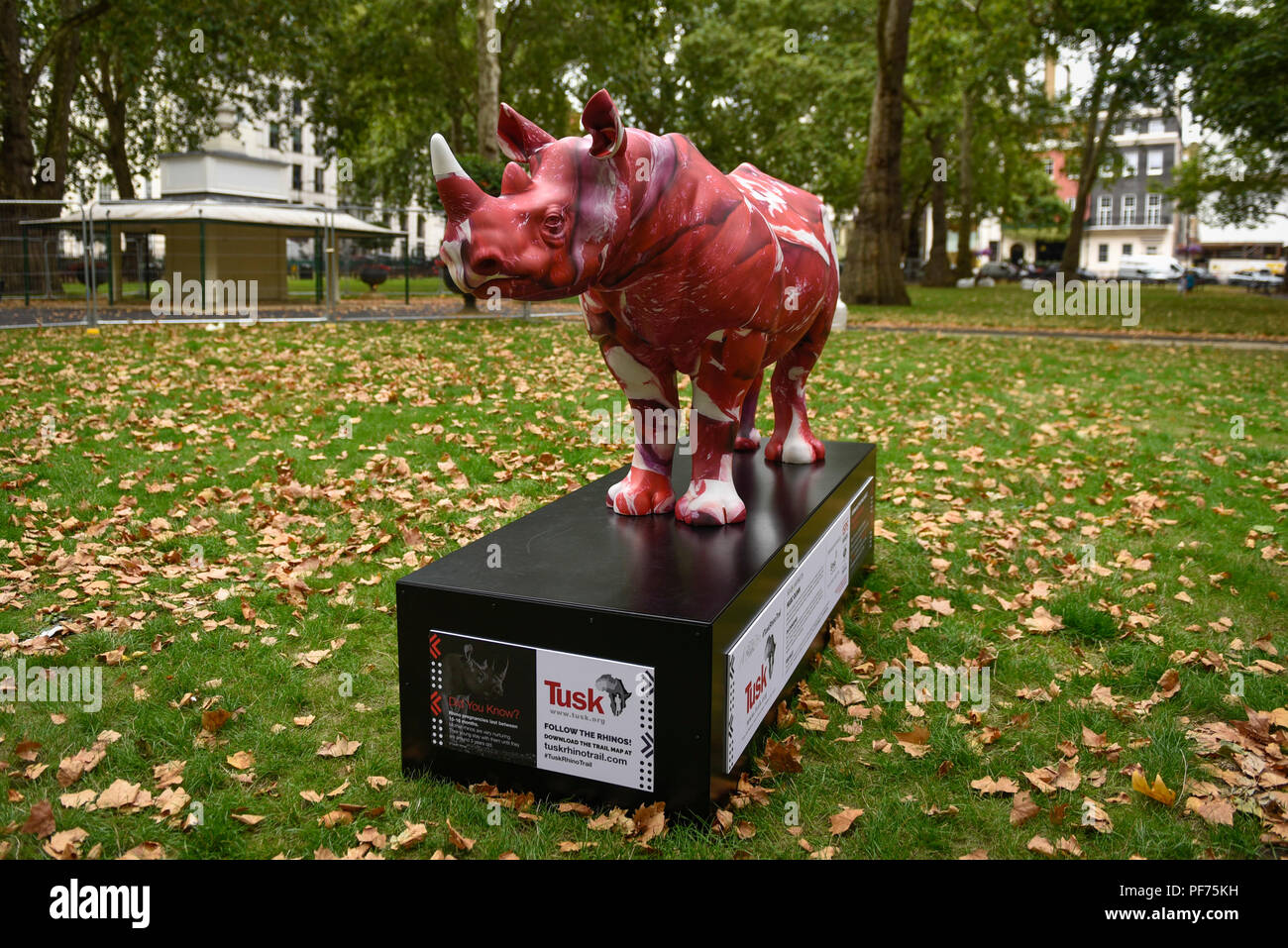 London, UK.  20 August 2018. 'On Cognizance', a rhino painted by Marc Quinn, in Berkeley Square. 21 rhinos are in place at a popular location in central London, forming the Tusk Rhino Trail, until World Rhino Day on 22 September to raise awareness of the severe threat of poaching to the species' survival.  They will then be auctioned by Christie's on 9 October to raise funds for the Tusk animal conservation charity.  Credit: Stephen Chung / Alamy Live News Stock Photo