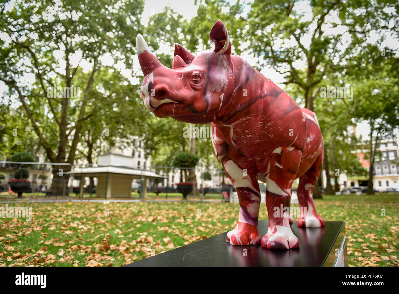 London, UK.  20 August 2018. 'On Cognizance', a rhino painted by Marc Quinn, in Berkeley Square. 21 rhinos are in place at a popular location in central London, forming the Tusk Rhino Trail, until World Rhino Day on 22 September to raise awareness of the severe threat of poaching to the species' survival.  They will then be auctioned by Christie's on 9 October to raise funds for the Tusk animal conservation charity.  Credit: Stephen Chung / Alamy Live News Stock Photo