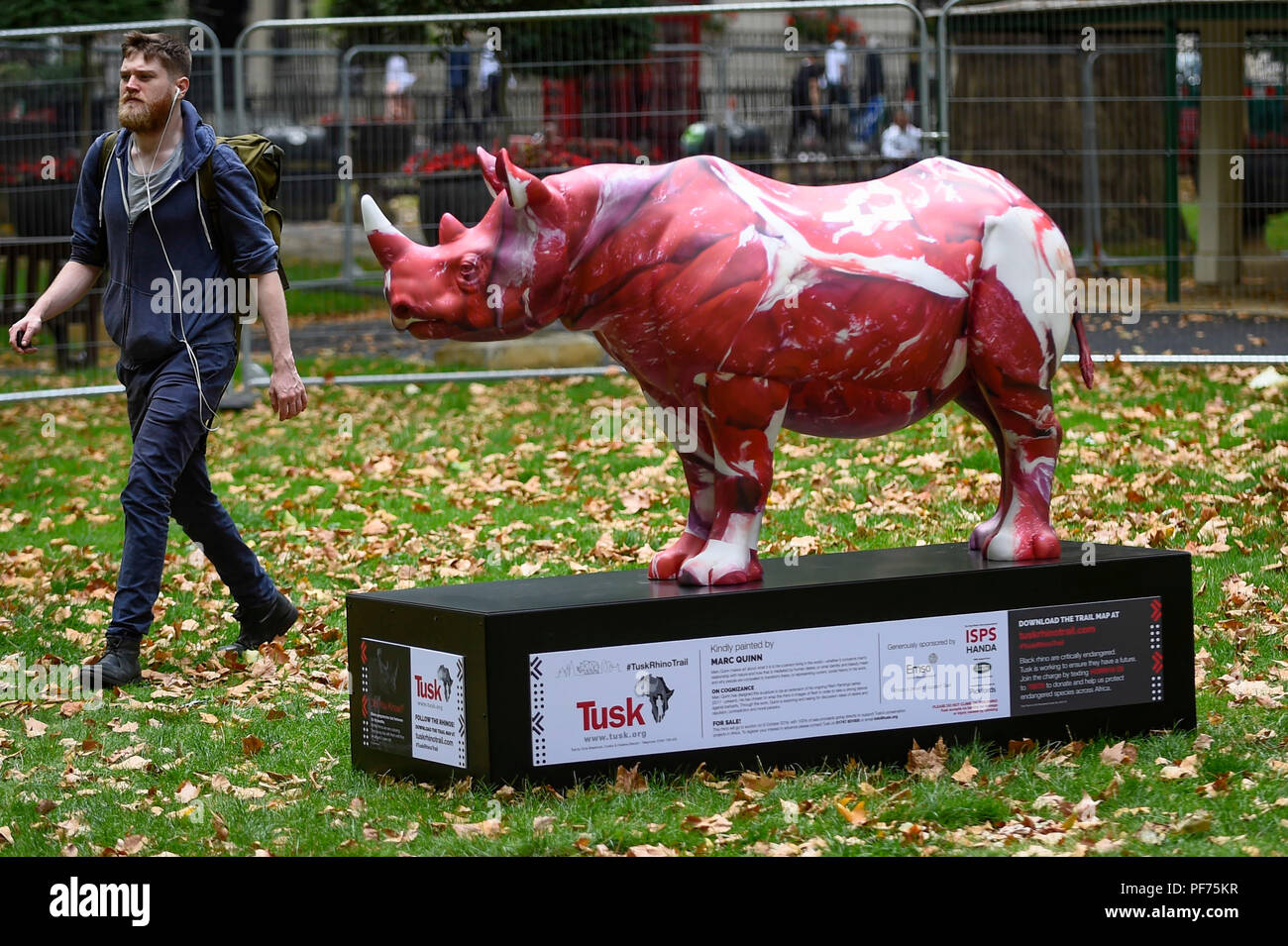 London, UK.  20 August 2018. A man walks by 'On Cognizance', a rhino painted by Marc Quinn, in Berkeley Square. 21 rhinos are in place at a popular location in central London, forming the Tusk Rhino Trail, until World Rhino Day on 22 September to raise awareness of the severe threat of poaching to the species' survival.  They will then be auctioned by Christie's on 9 October to raise funds for the Tusk animal conservation charity.  Credit: Stephen Chung / Alamy Live News Stock Photo