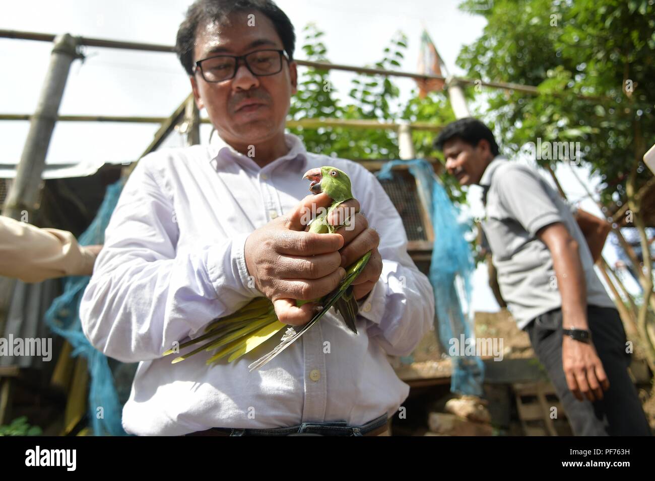 Agartala, Tripura, India. 18th Aug, 2018. A forest guard seen recusing a  bird from the  dead birds and bones of animals were founded from a  house. The owner of these animals