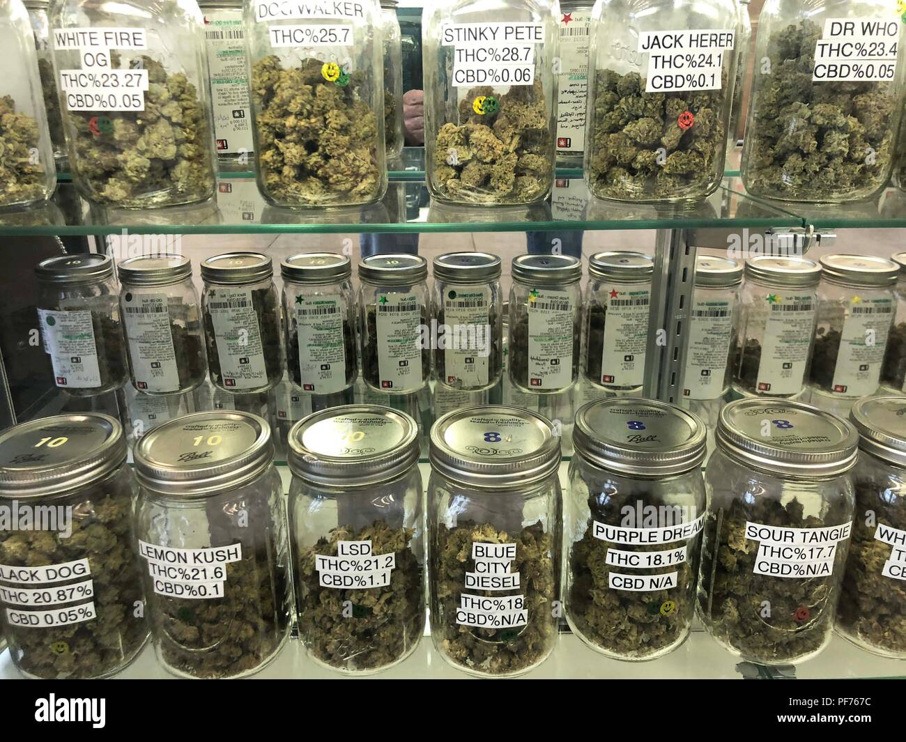 New York, New York, USA. 19th Aug, 2018. Otis Collective marijuana pot