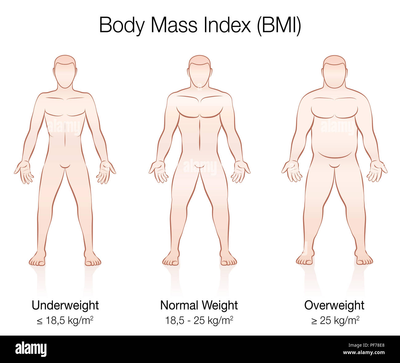 Body Mass Index BMI. Underweight, normal weight and overweight male body - illustration of three men with different anatomy. Stock Photo