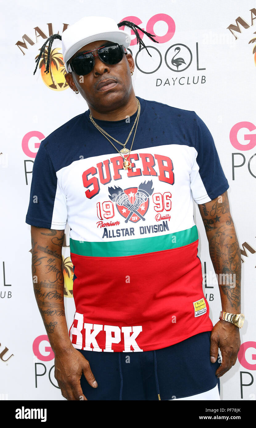 Coolio performs at Flamingo Las Vegas' Go Pool Dayclub Featuring ...