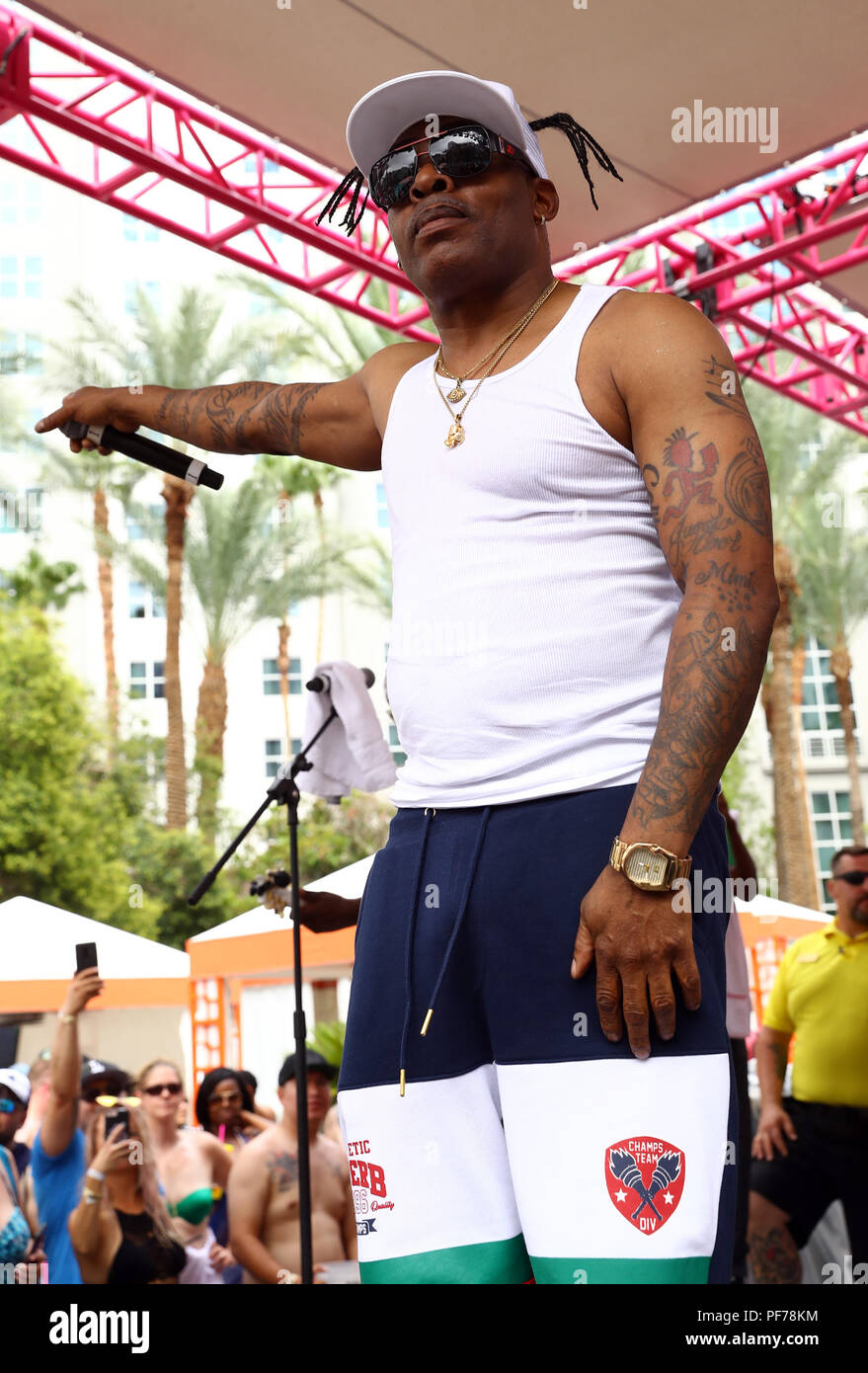Coolio performs at Flamingo Las Vegas' Go Pool Dayclub Featuring ...