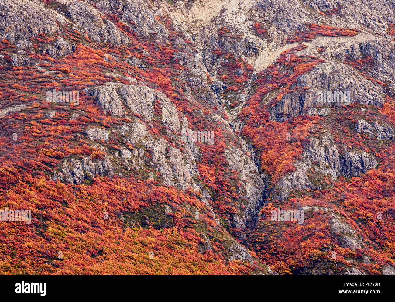 Autumn in Los Glaciares National Park, Santa Cruz Province, Patagonia ...