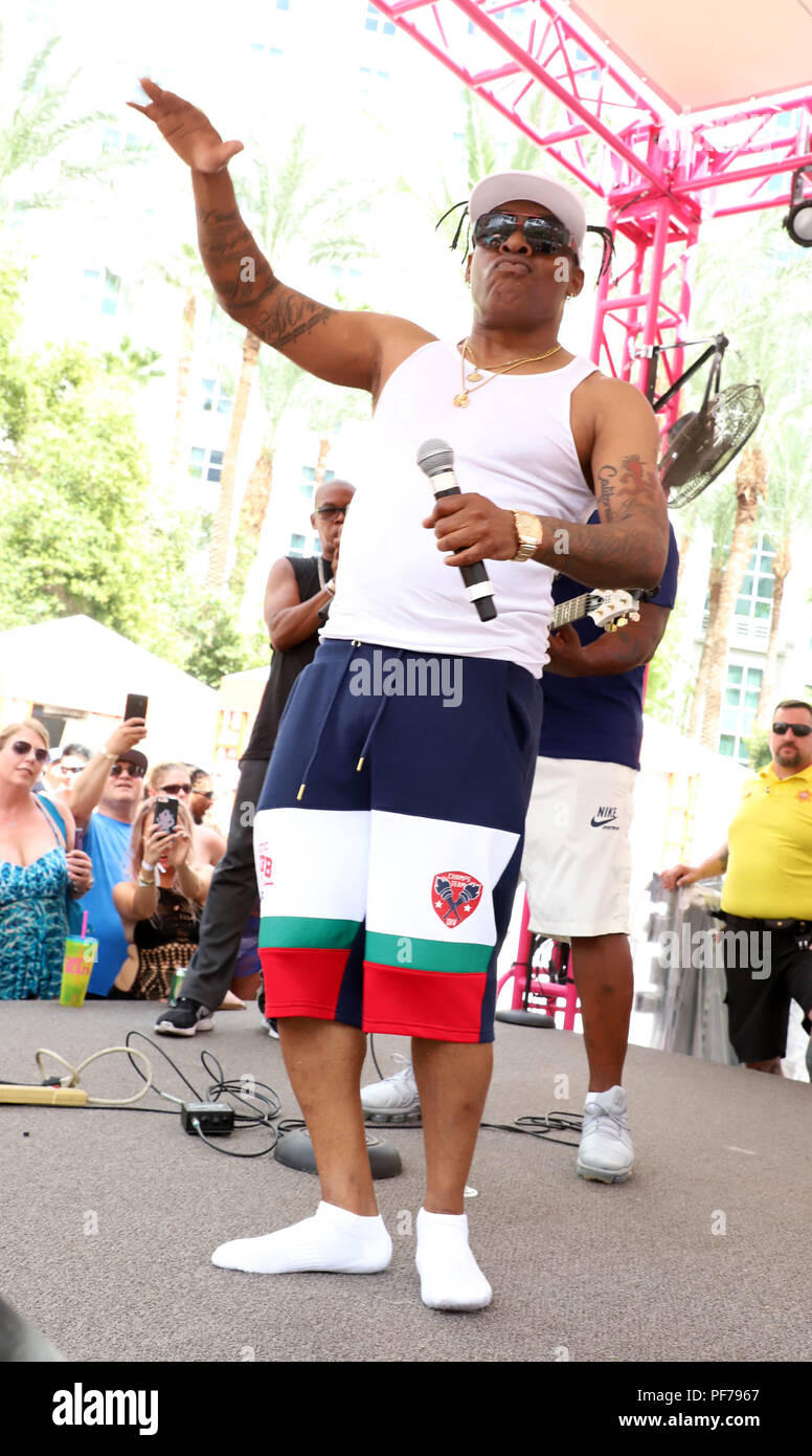 Coolio performs at Flamingo Las Vegas' Go Pool Dayclub Featuring ...