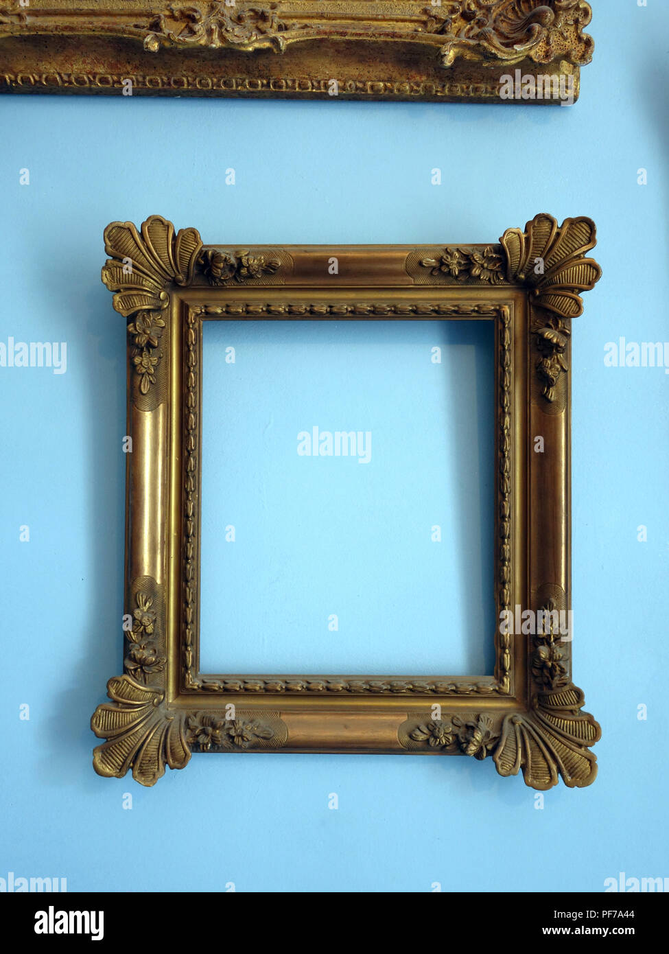 Single gold picture frame with no pictures in the frame hanging on a