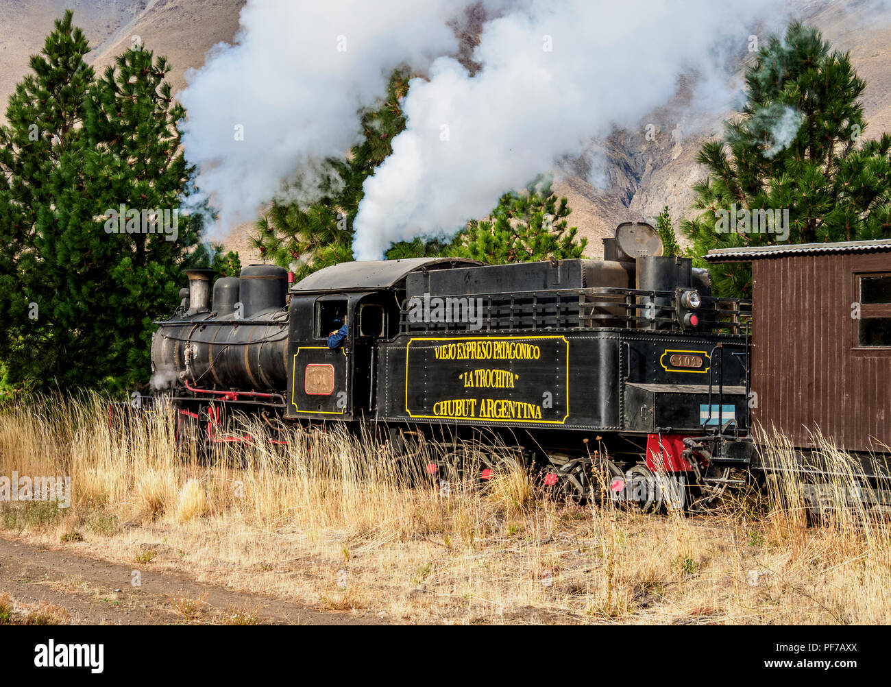 Old Patagonian Express La Trochita, steam train, Chubut Province, Patagonia, Argentina Stock Photo