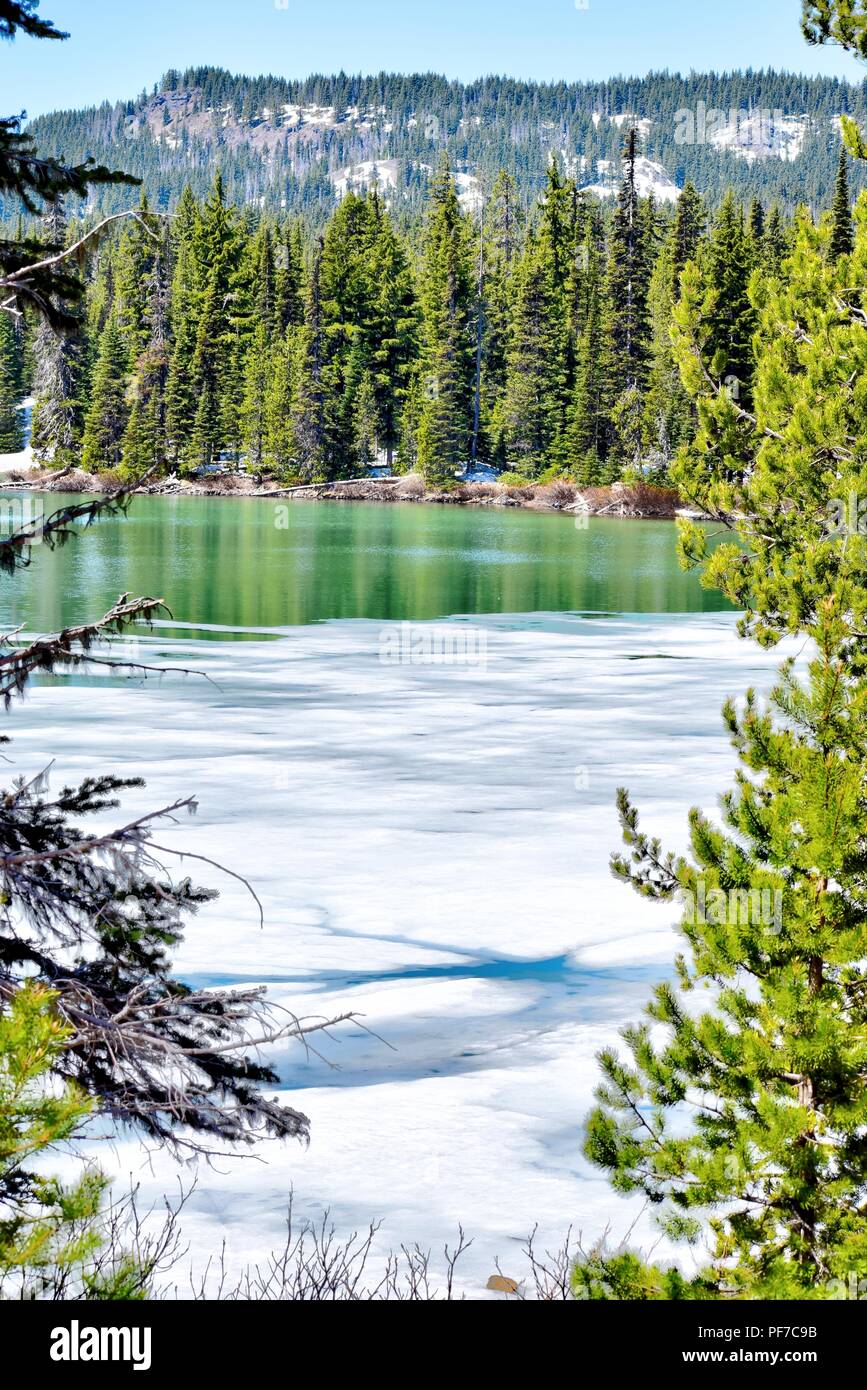 Spring Thaw at Devils Lake near Bend Oregon Stock Photo