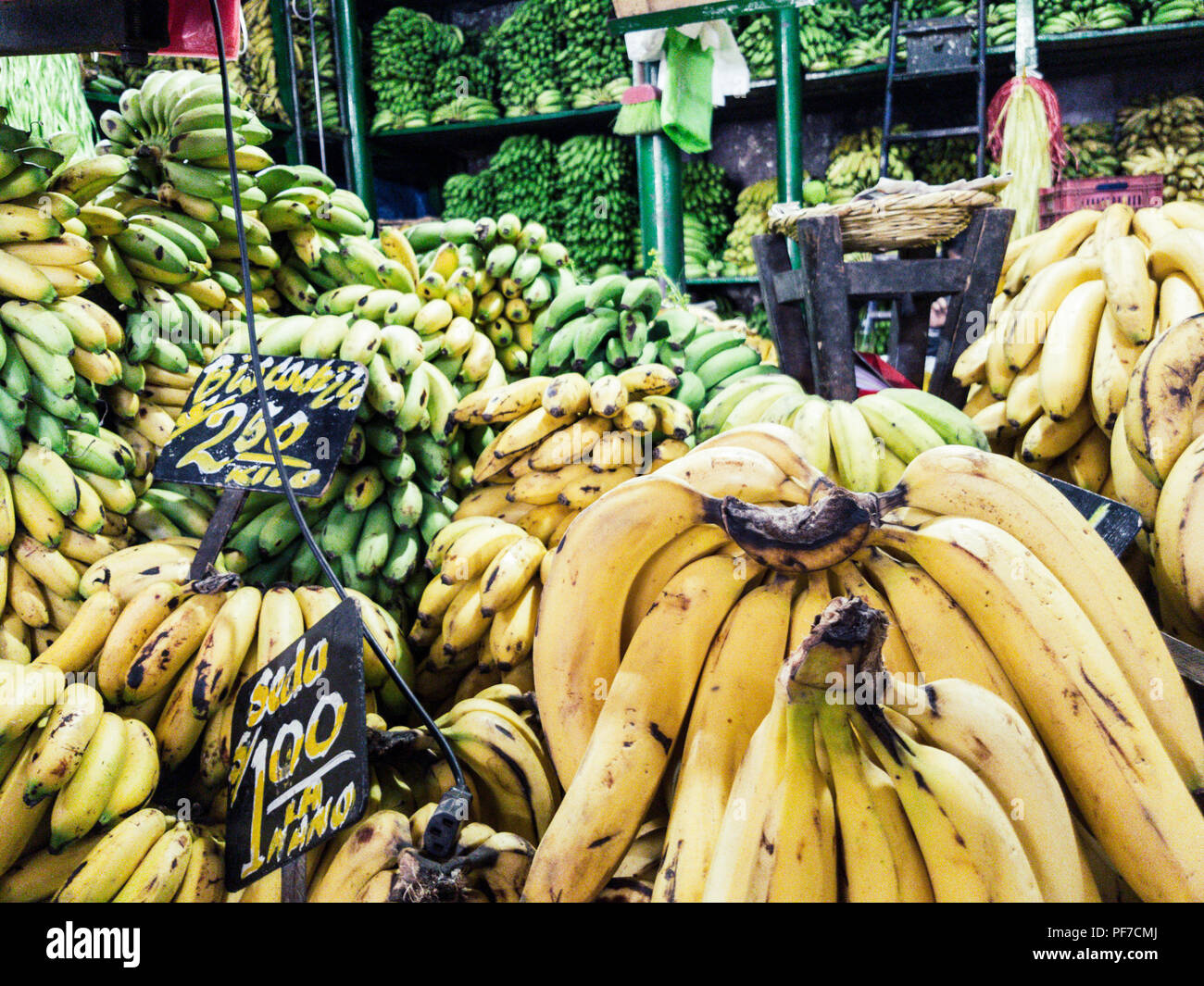 Sale of bananas in the market with signs that say the type of banana