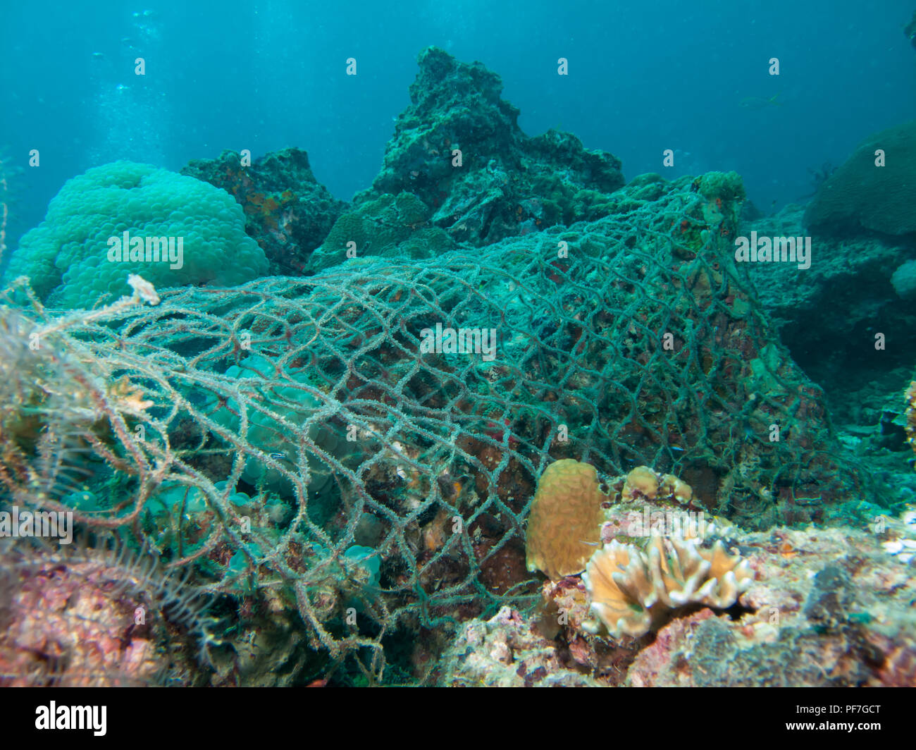 Fishing net stuck on a coral reef Stock Photo