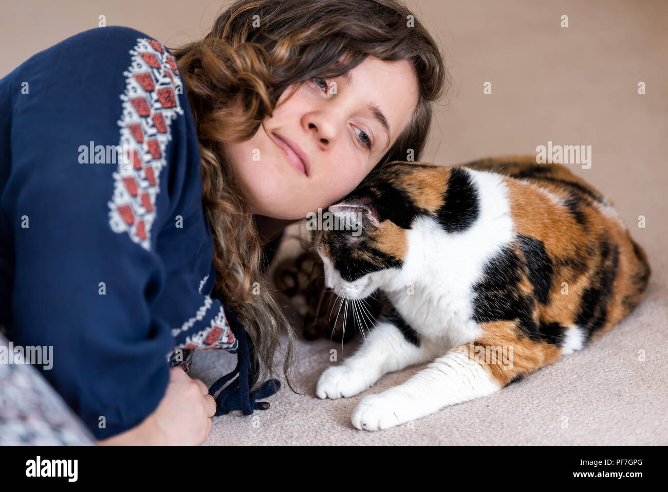 Young happy woman, owner, person bonding with calico cat bumping