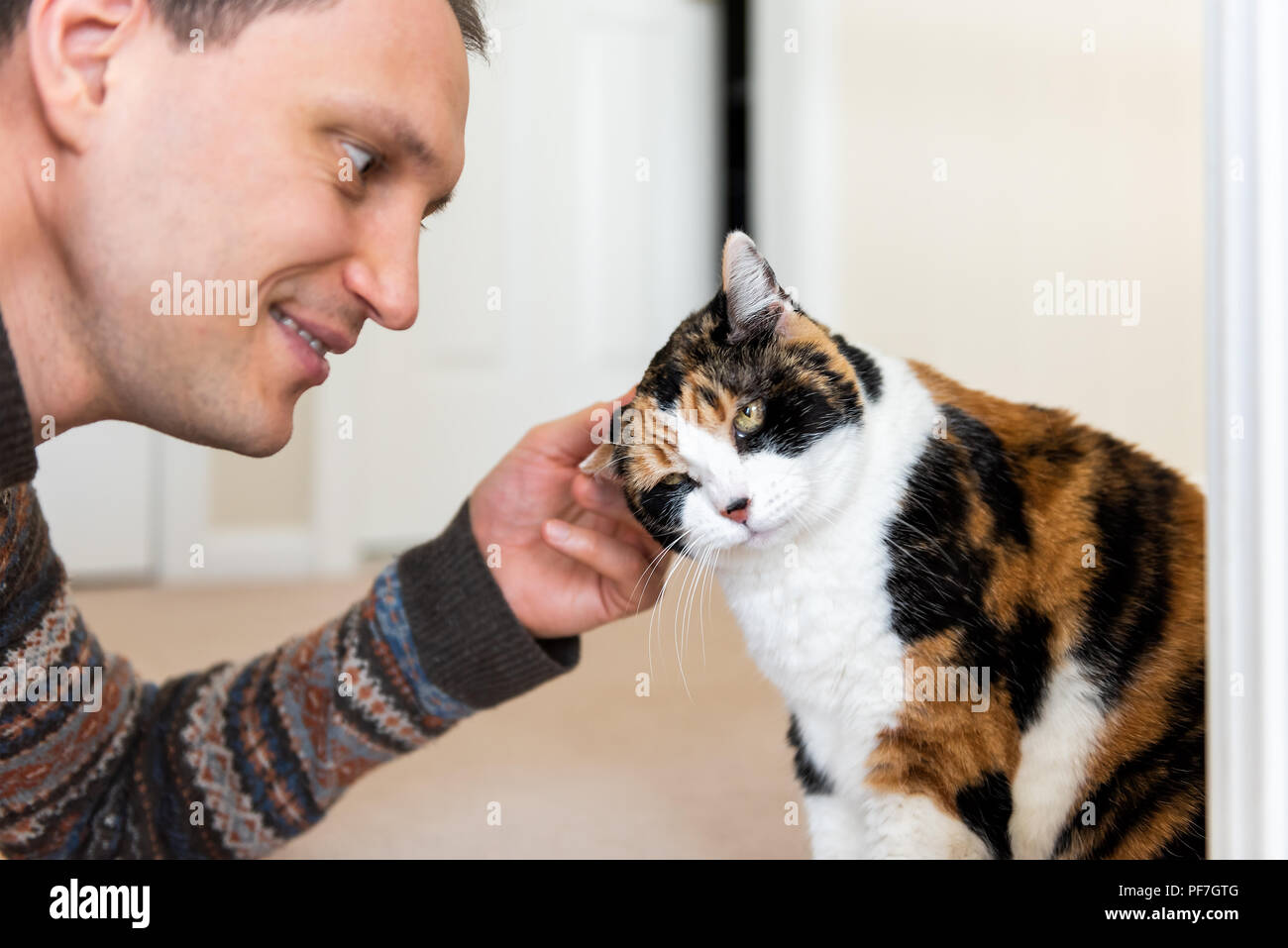 Young happy man bonding with calico cat rubbing, scratching head behind ears, friends friendship companion pet affection face, cute adorable kitty Stock Photo