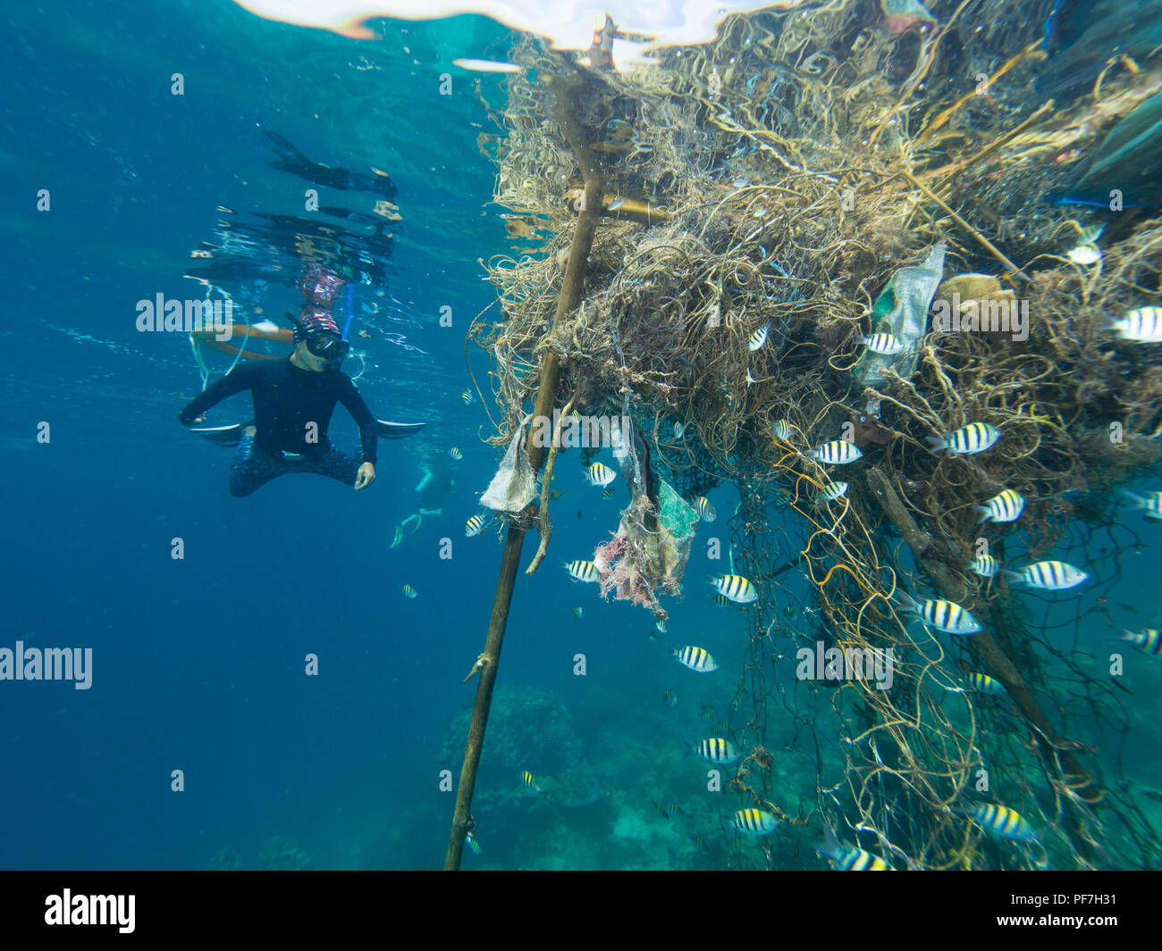 Snorkeller inspecting big patch of ropes and garbage floating on the surface of the sea. Stock Photo