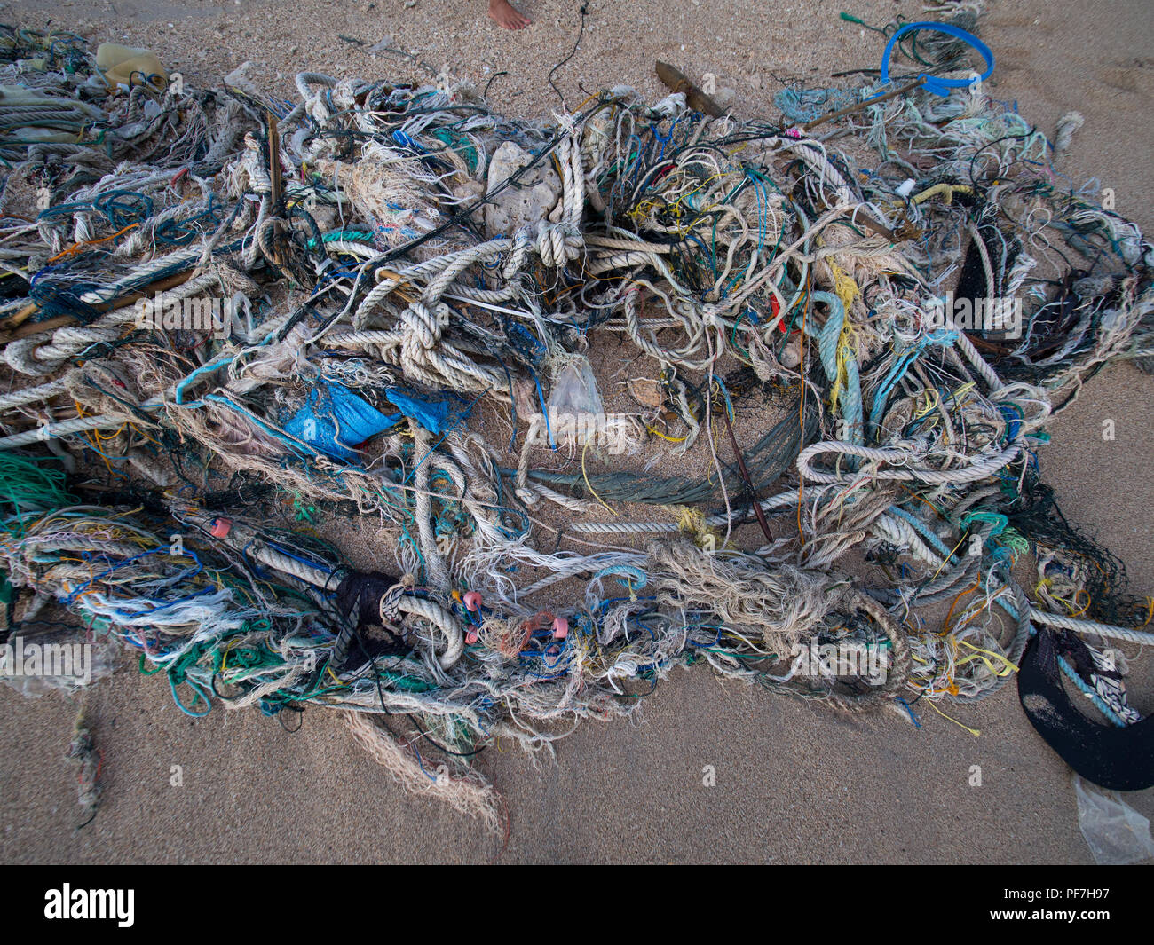 Marine debris washed up on the beach Stock Photo