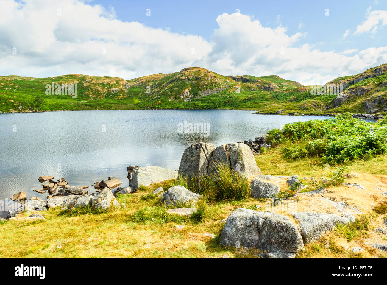 Blea Tarn on the moors above Eskdale in the western fells of the Lake District Stock Photo