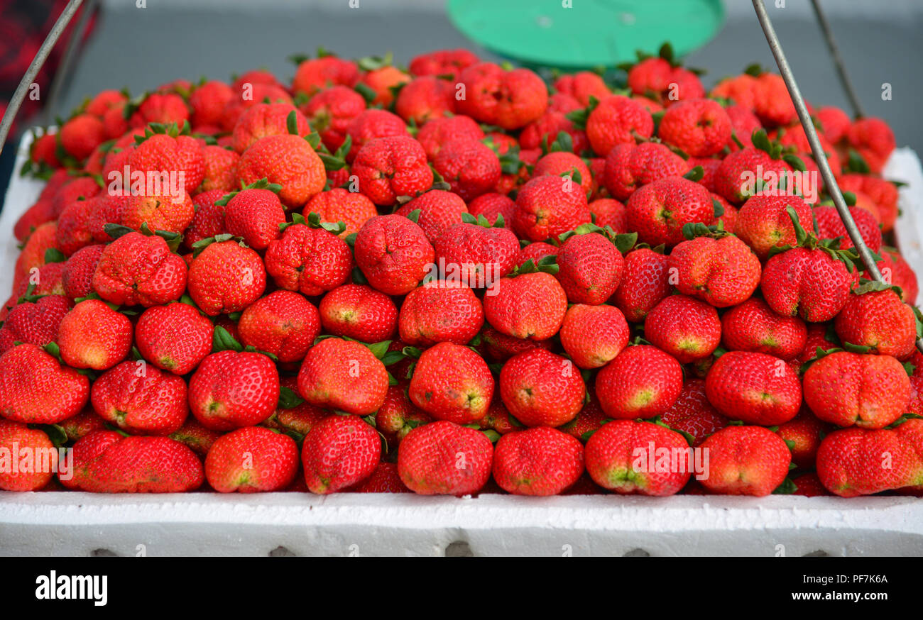 Strawberry for sale at rural market in Yangon, Myanmar Stock Photo Alamy