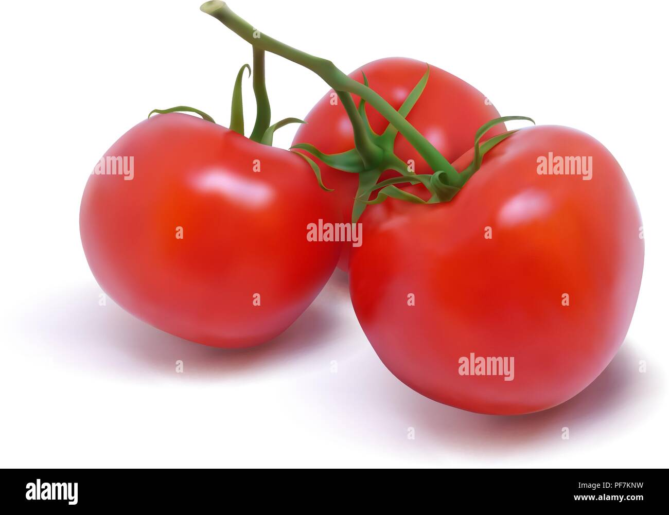 Red vegetable photo Stock Vector Images - Alamy