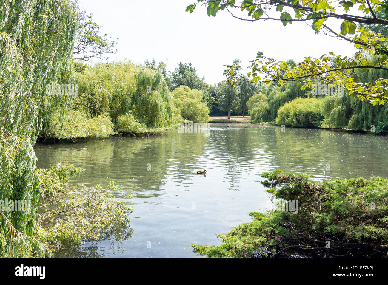 Orpington Pond, Priory Gardens, Orpington, London Borough of Bromley