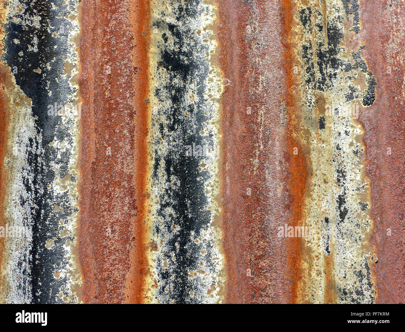 Bands of colour created by rusting corrugated sheet metal with rich red