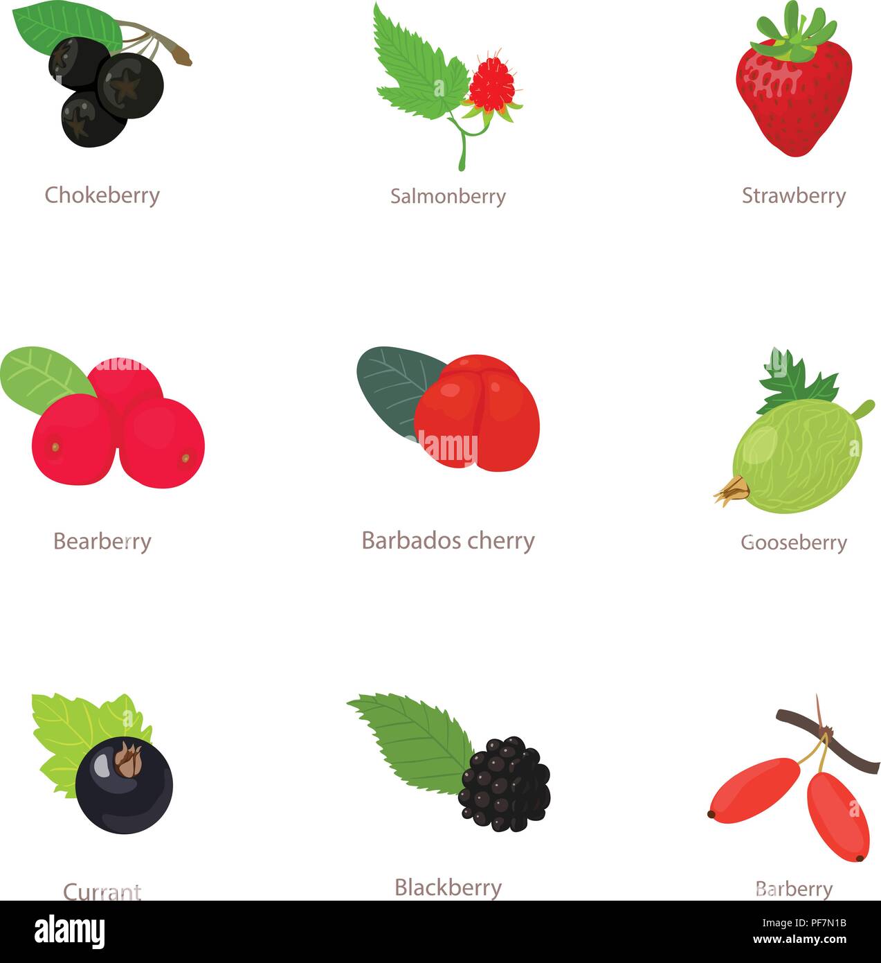Berry type icons set, isometric style Stock Vector