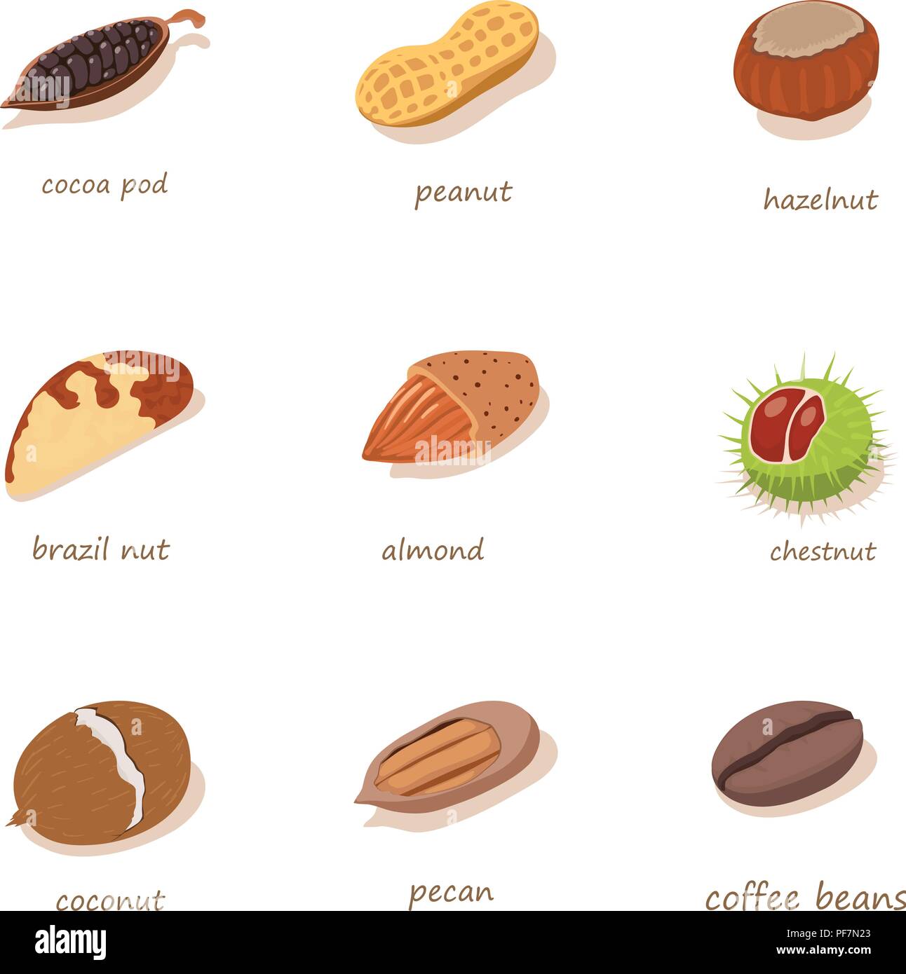 Nut filling icons set, isometric style Stock Vector