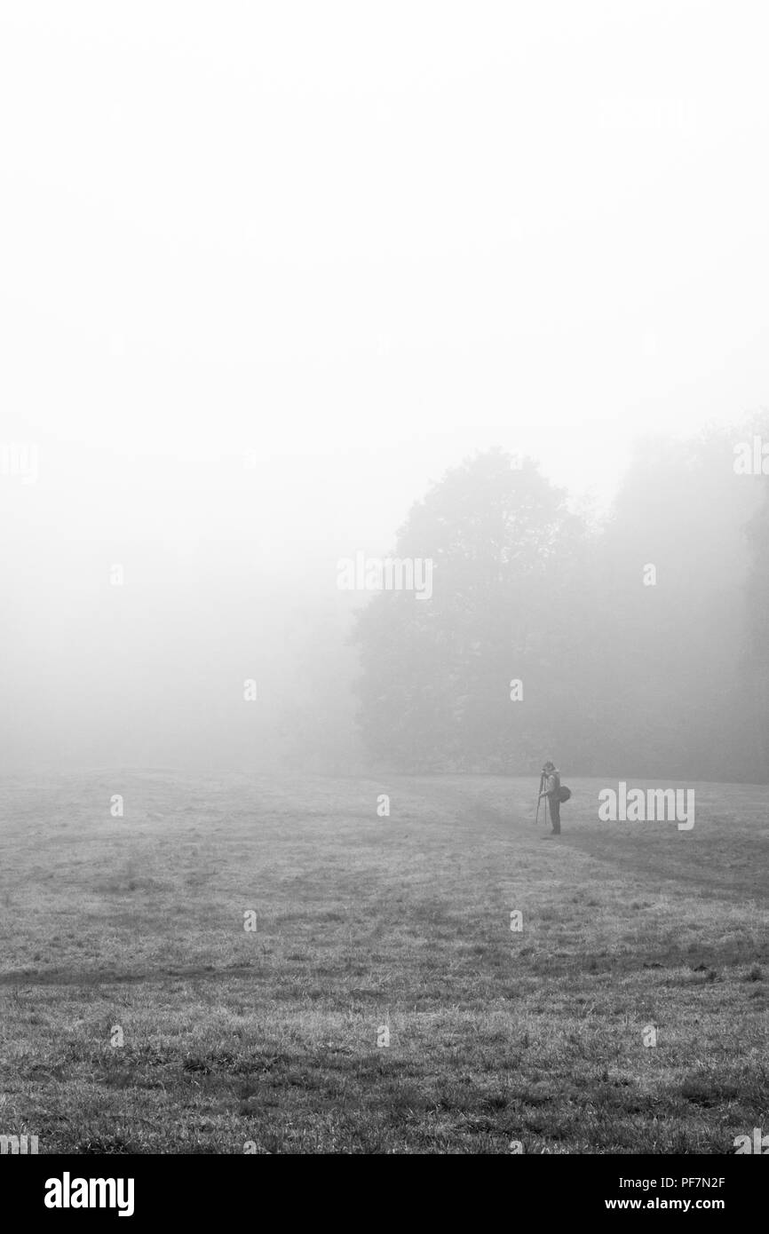 A photographer setting up his tripod in a misty meadow Stock Photo