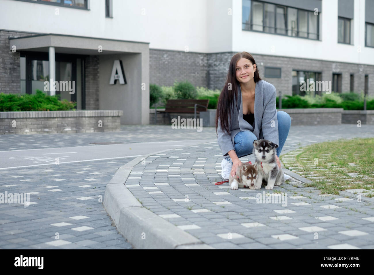 Portrait of happy female strolling with her pet at leisure with copy space Stock Photo