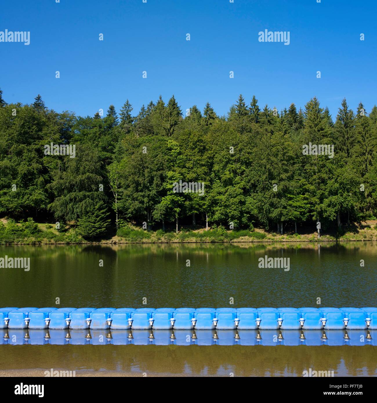 Row of blue floats separating the waters of a tree-lined lake, Auvergne ...