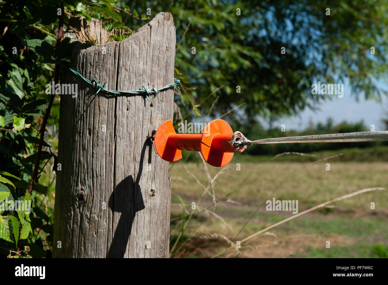 A gate break handle on electric fencing. Stock Photo