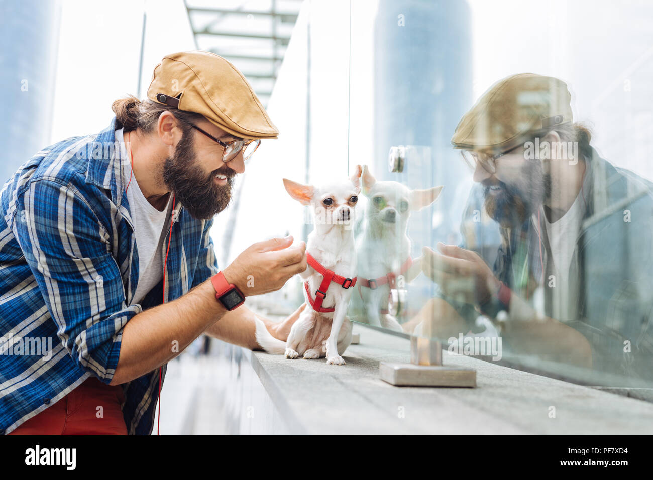 Smiling man placing his little dog near the window of business center Stock Photo
