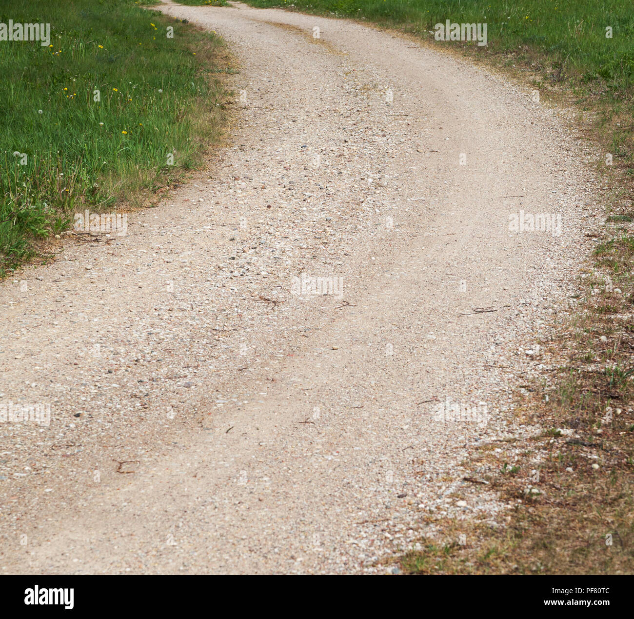 My Image 15