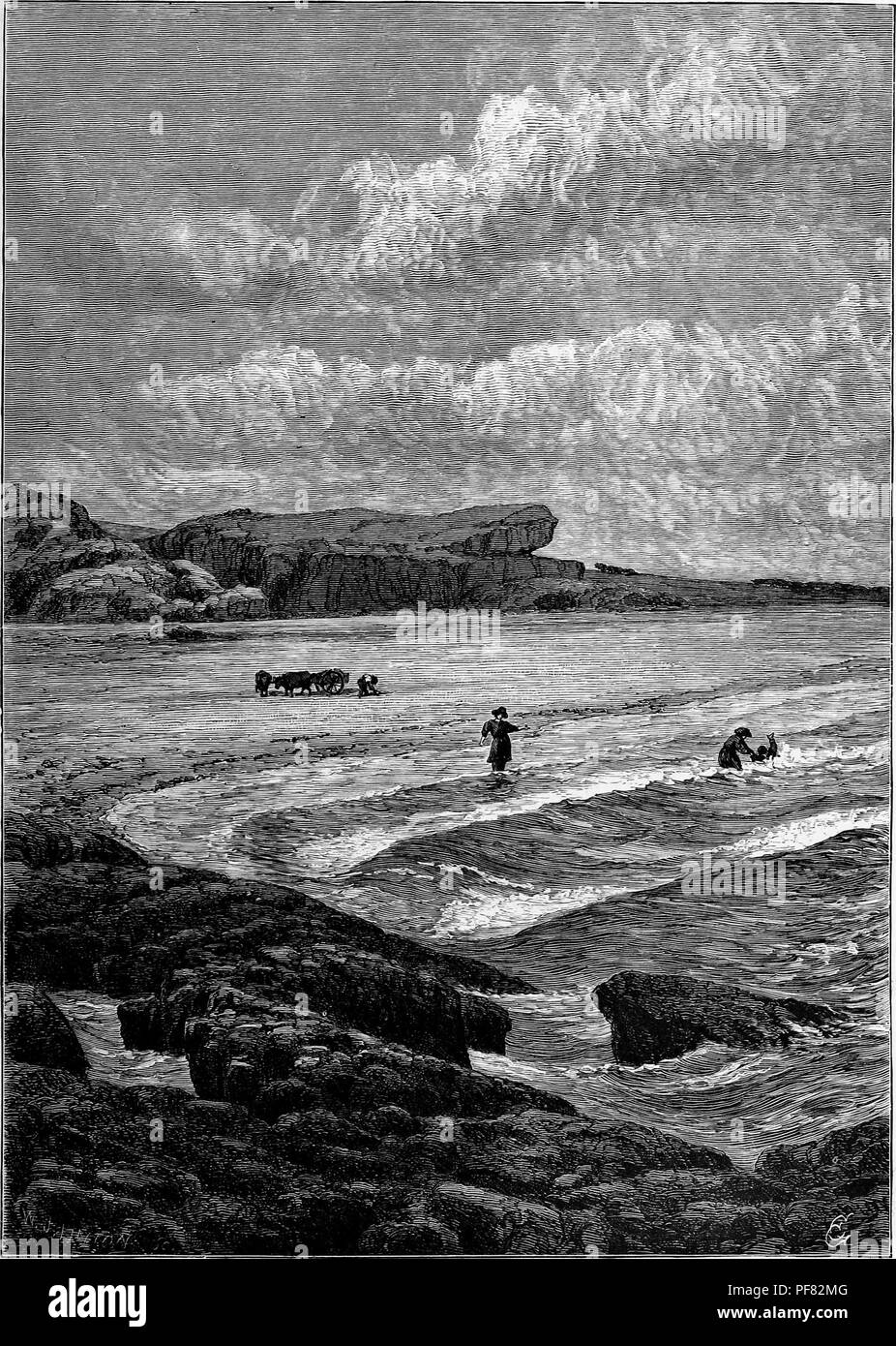 Black and white vintage print depicting several people playing in the waves, with oxen hitched to a small cart on the beach behind them and rocky cliffs in the background, in an area alternatively called Berkeley's Seat, Paradise Rocks, or Hanging Rocks, located near 'Whitehall, ' the former residence of Dean Berkeley, just northeast of Purgatory in Rhode Island, USA, published in William Cullen Bryant's edited volume 'Picturesque America; or, The Land We Live In', 1872. Courtesy Internet Archive. () Stock Photo