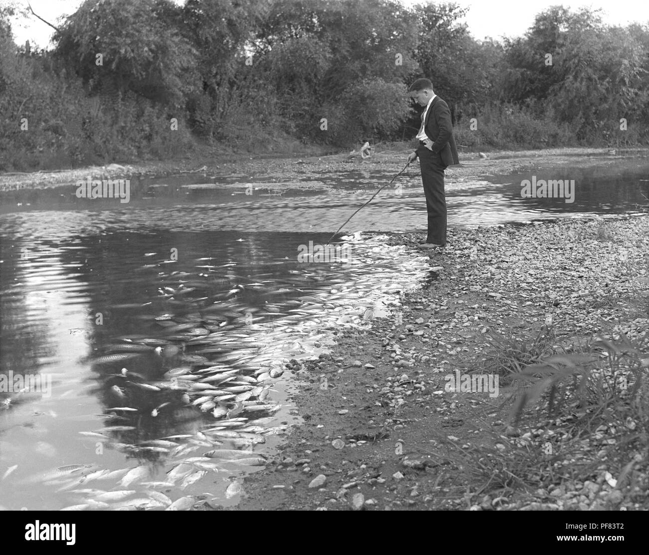 Man standing on the river bank full of dead fish, Blue Earth River, Winnebago, Minnesota, August 30, 1935. Image courtesy Centers for Disease Control (CDC) / Minnesota Department of Health, R.N. Barr Library, Librarians Melissa Rethlefsen and Marie Jones. () Stock Photo