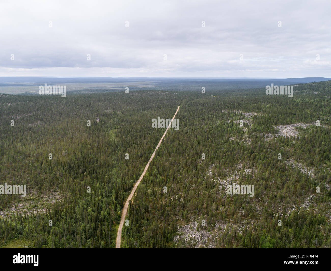 A boreal forest taiga finland hi-res stock photography and images - Alamy
