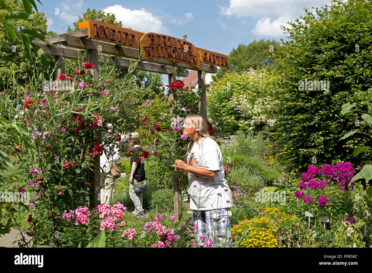 Kneipp Garden, Sigmaringen, Baden-Wuerttemberg, Germany Stock Photo