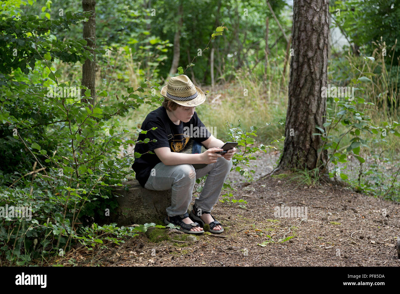 boy playing computer games in a forest, Germany Stock Photo