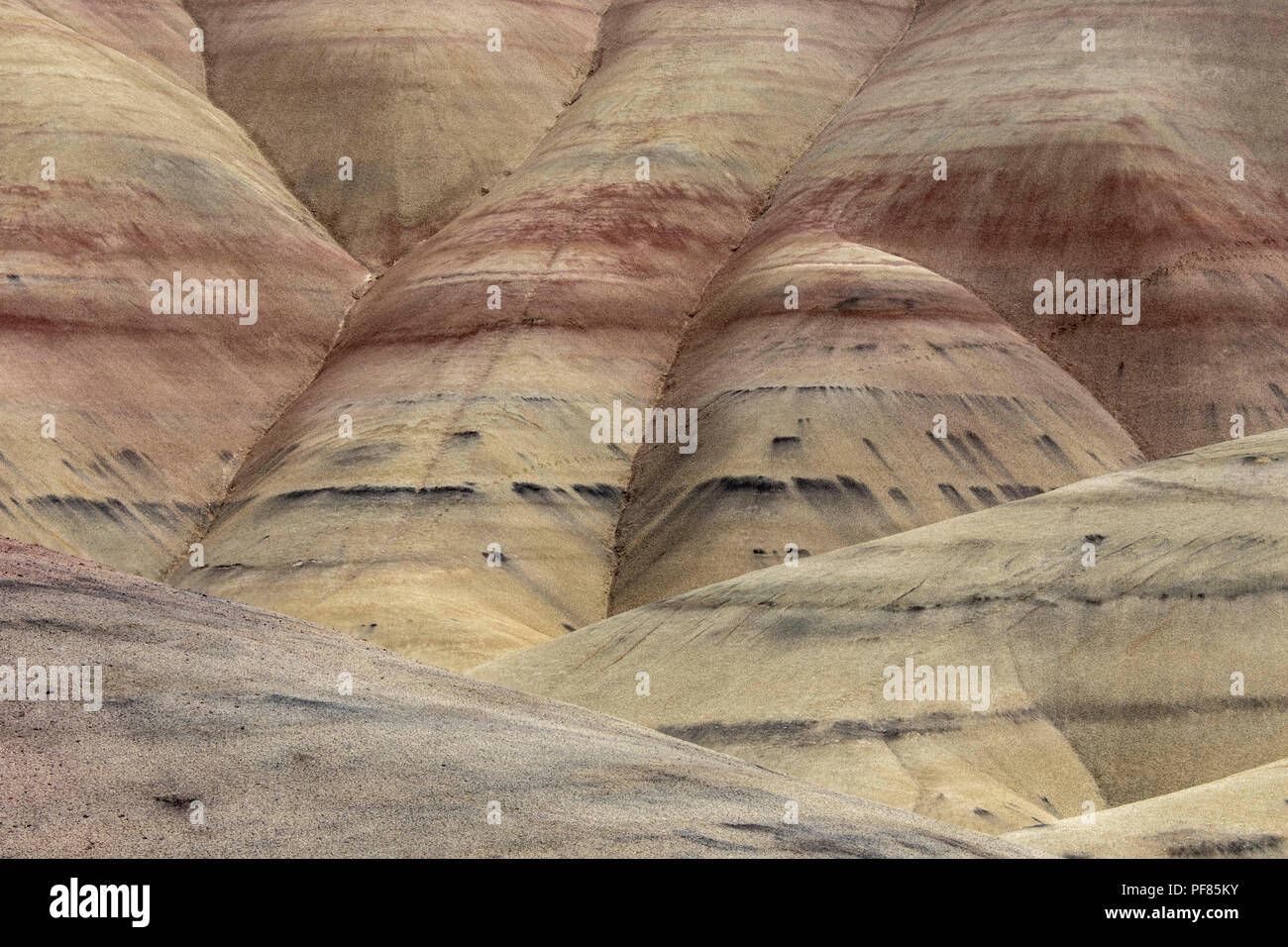 Painted Rounded Hills Beautiful painted hills in oregon Stock Photo - Alamy
