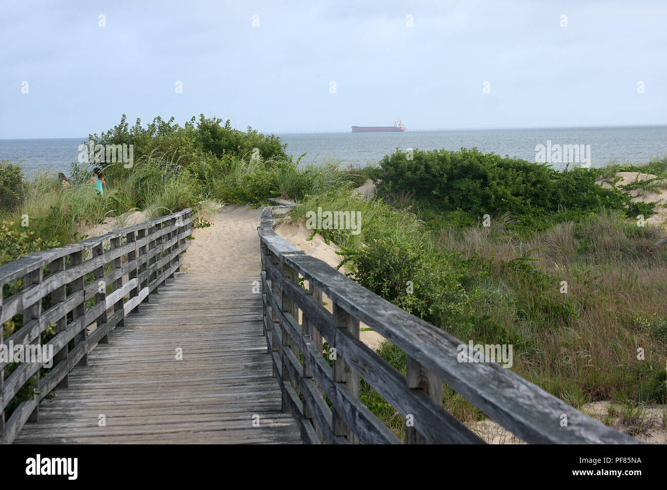 Walkway to the ocean at First Landing State Park, USA Stock Photo Alamy