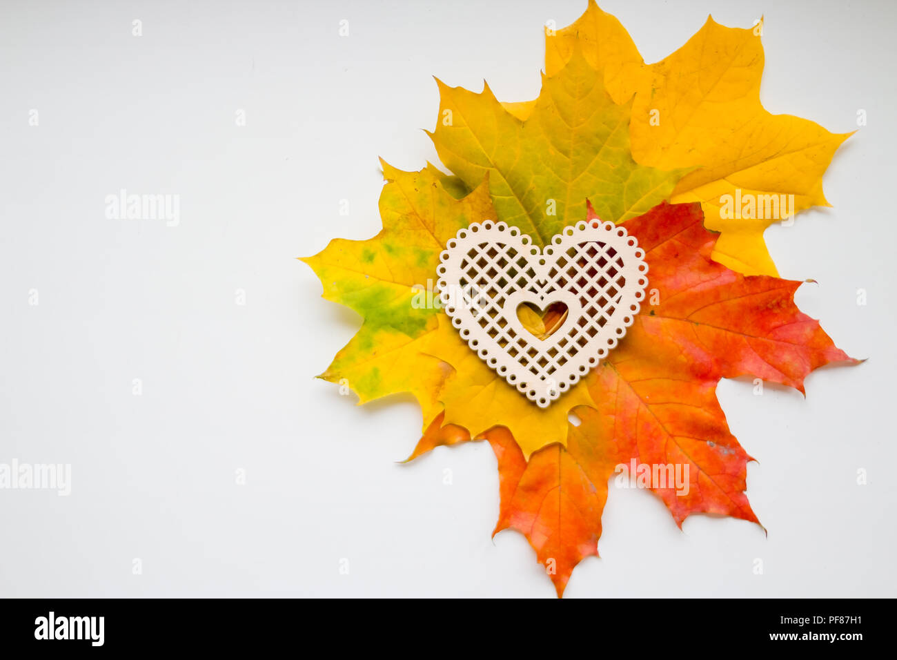wedding decorations in the autumn.Autumn still life with colorful fall leaves and wooden heart over white background. Fall nature background.cozy autumn still life, autumn mood concept, blogger or writer lifestyle, top view. Stock Photo