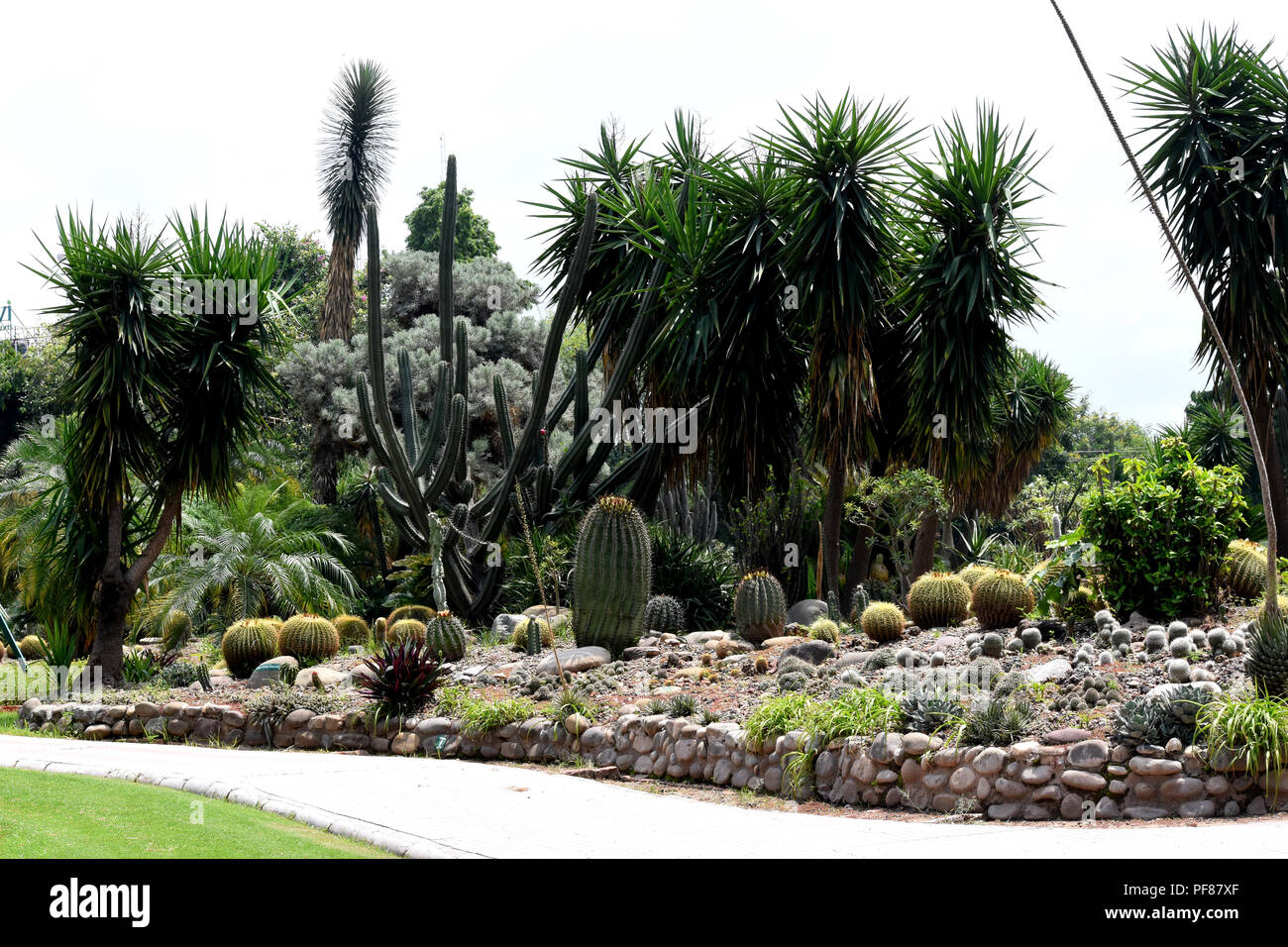 Cactus Garden ,Panchkula, Haryana, India Stock Photo Alamy