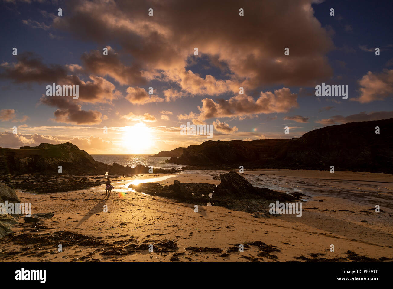 Porth Dafarch, Anglesey, North Wales coast at sunset Stock Photo