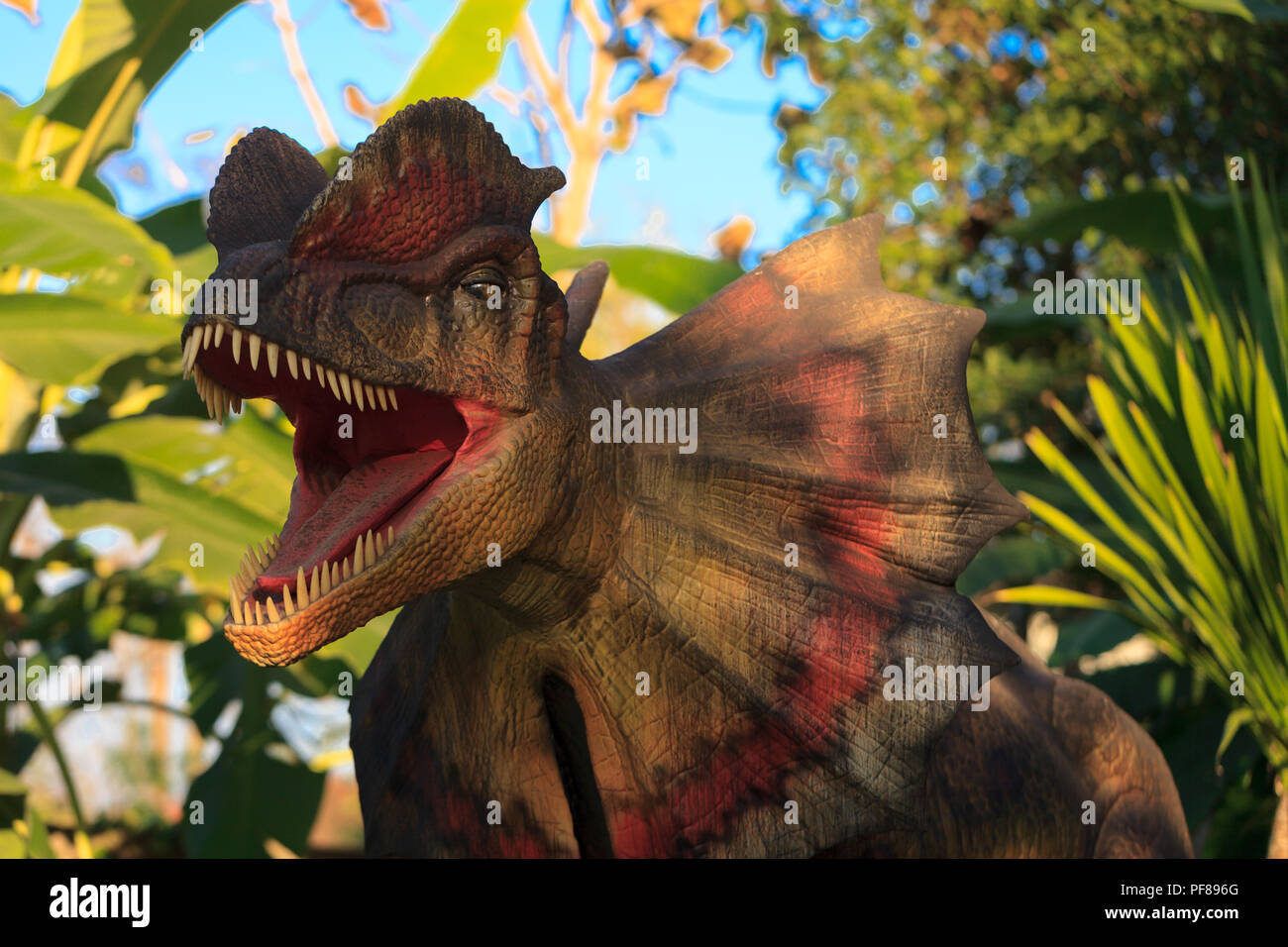 Jurassic World Images – Browse 7,367 Stock Photos, Vectors, and Video