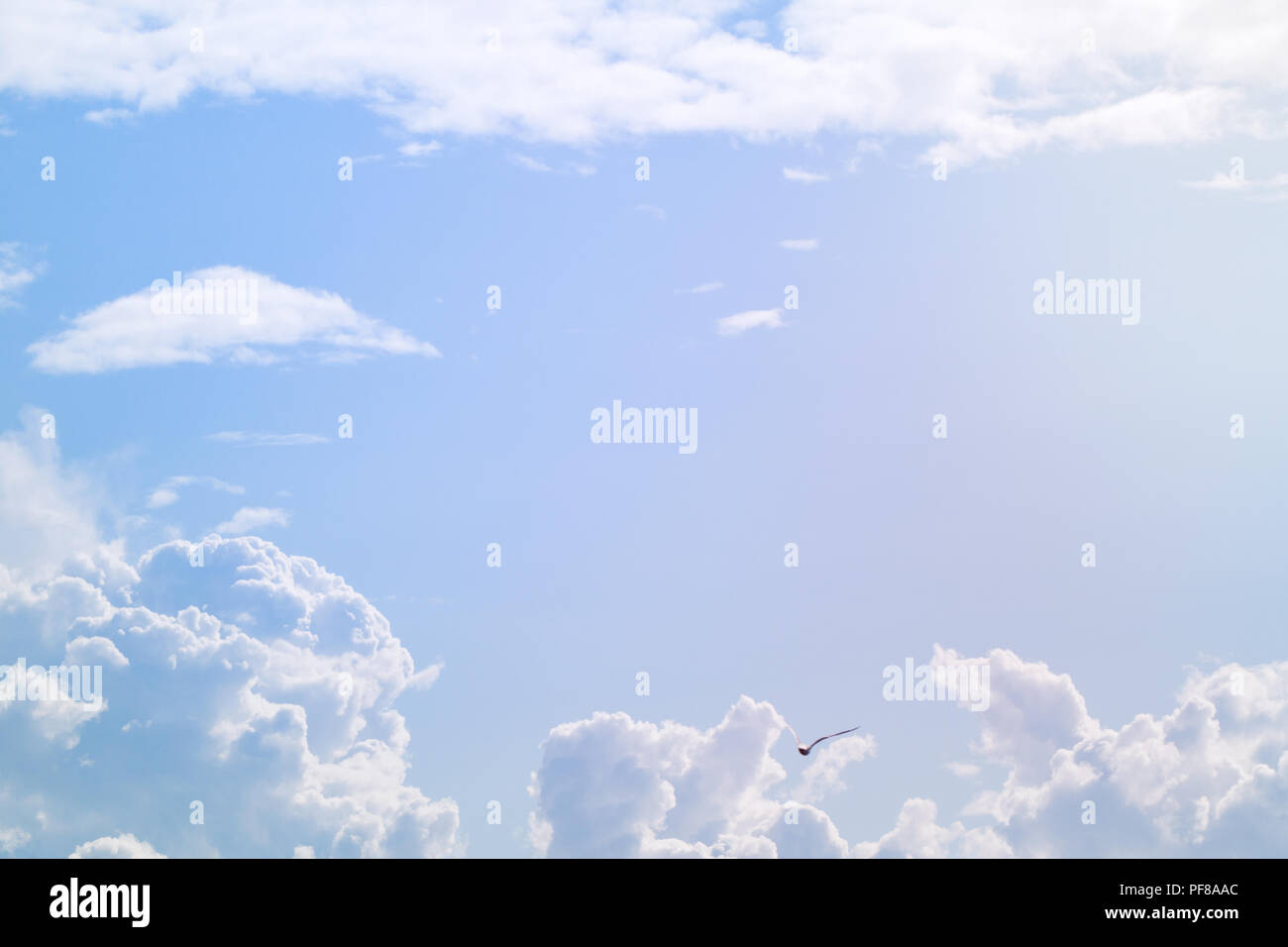Fluffy clouds on sunny day. Sky background Stock Photo - Alamy